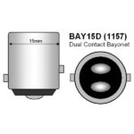 bay15d_1157_bases